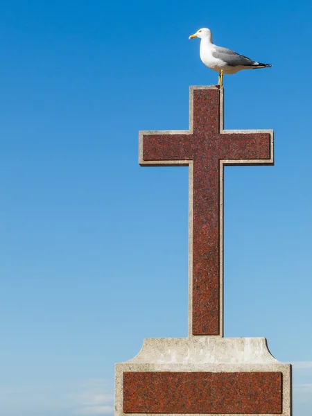 çarmıhta istirahat martı