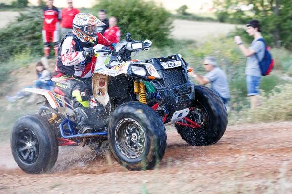 Baja Aragon 2014