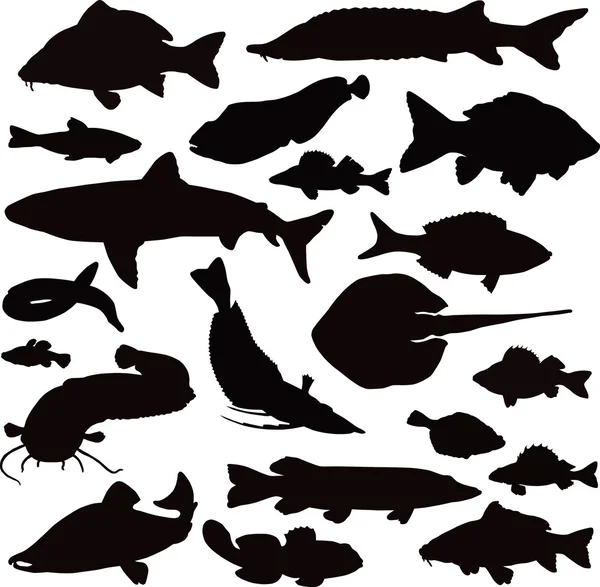 20 černé ikony z obrázků ryb — Stockový vektor