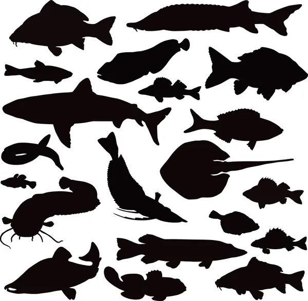 20 black icons of images of fishes — Stock Illustration 20 black icons of images of fishes Stock Illustration