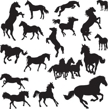 19 vector images of horses clipart