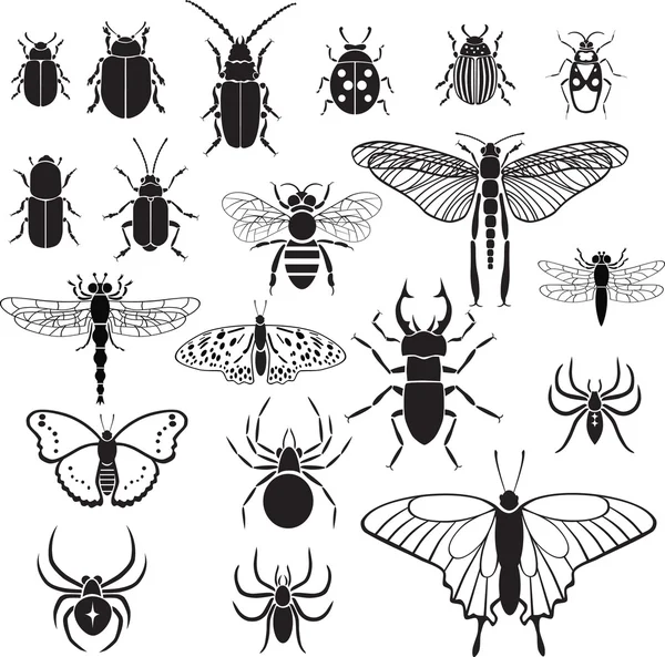 20 vector images of insects — Stock Vector