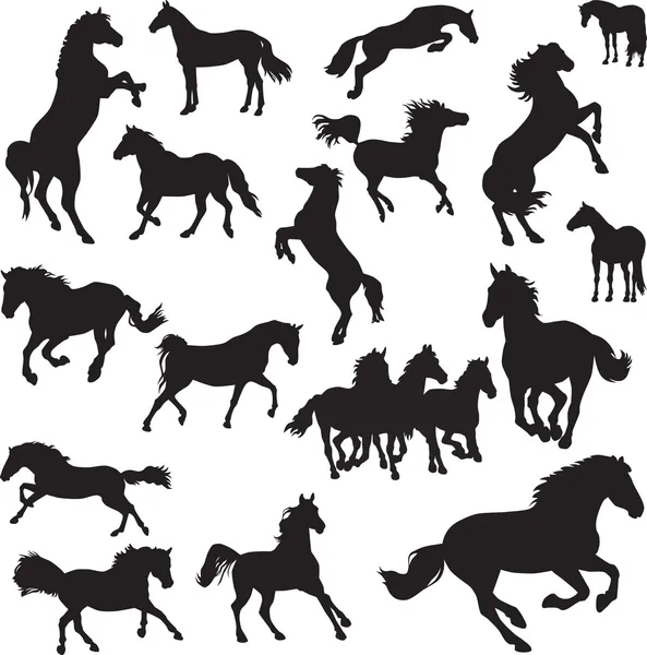 19 obrazów wektorowych koni — Wektor stockowy