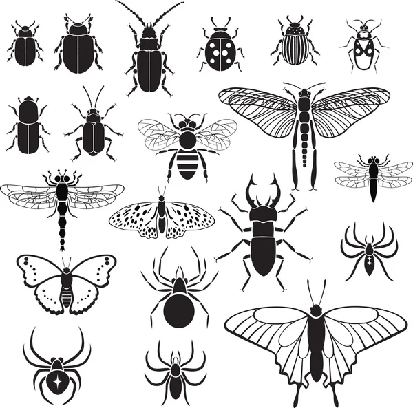 20 obrazów wektorowych owadów — Wektor stockowy