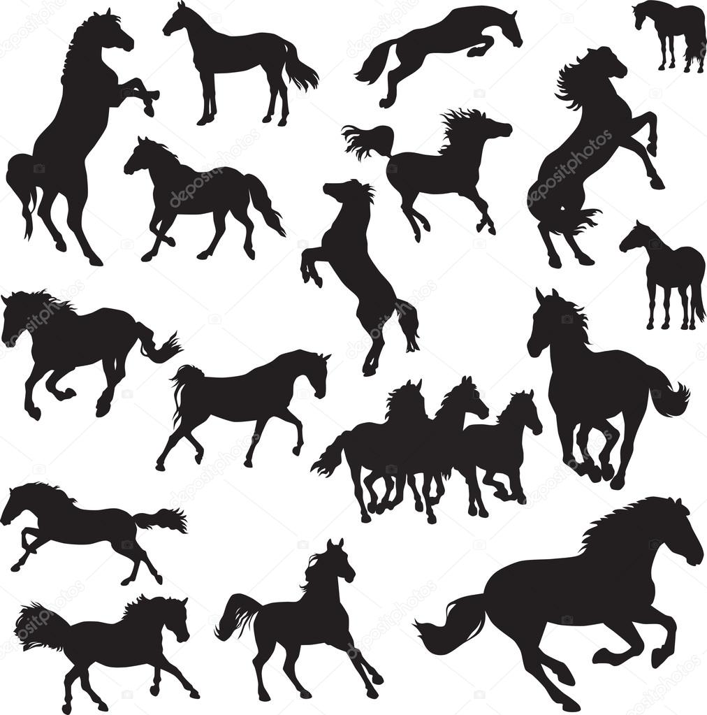 19 vector images of horses
