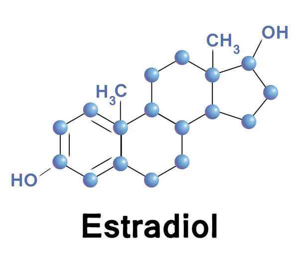 Estradiol — Wektor stockowy