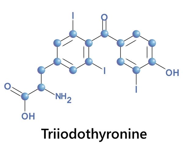 Triiyodotironin — Stok Vektör