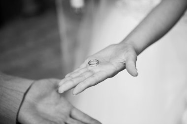 bir kadın, elinde telefon yakın çekim