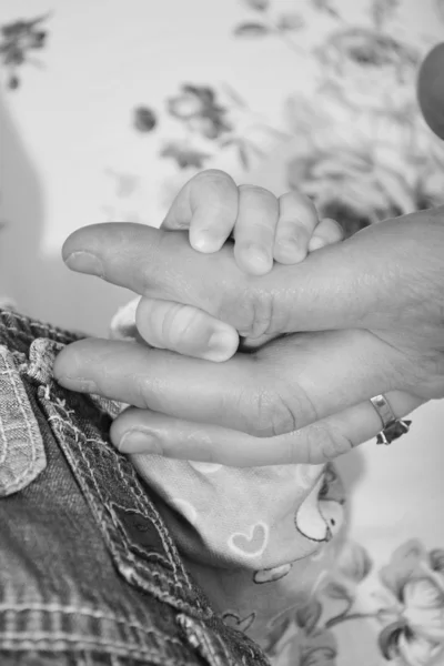 Hands and feet of a newborn baby in the hands of the mother in black and white — Stock Photo, Image