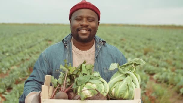 Retrato Homem Afro Americano Feliz Campo Fazenda Segurando Caixa Com — Vídeo de Stock