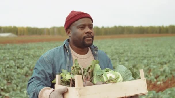 Afro Américain Transportant Une Caisse Bois Remplie Chou Frais Betteraves — Video