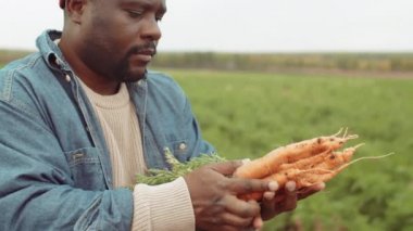 Afrika kökenli Amerikalı çiftçi elinde taze toplanmış havuçlarla tarlada çalışırken sebzeleri inceliyor.