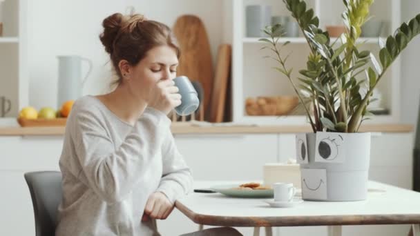 Jonge Mooie Vrouw Drinken Van Thee Uit Beker Scrollen Sociale — Stockvideo