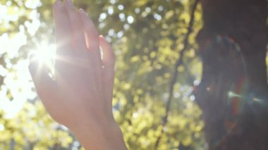 Seçici odak çekimini kapat. Kadın eli, açık havada, parkta ya da ormanda, parlak güneş ışığında dönüyor. Arka planda yeşil ağaç yaprakları var.