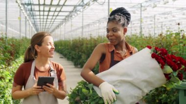 Neşeli beyaz kadın çiçek serasında güller taşıyan Afrikalı Amerikalı bayan meslektaşıyla dijital tablette bir şeyler tartışıyor.
