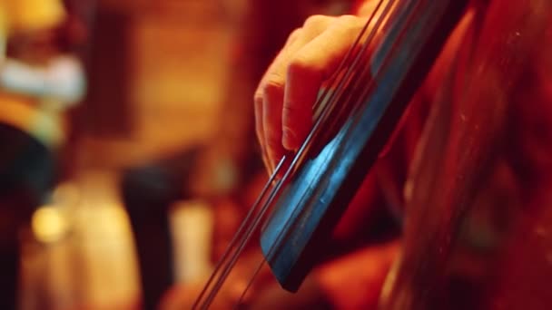 Konserde Müzik Çalarken Çift Bas Çalan Tanınmayan Bir Müzisyenin Eli — Stok video
