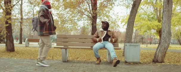 アフリカ系アメリカ人の男性がベンチに座って 手を握りしめ 公園で秋の日に彼と話をする友人を迎える — ストック動画