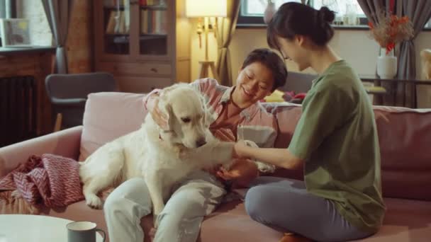 二人の若いアジア人女性座っていますソファの上にリビングルーム 笑顔と遊びますかわいいです黄金の検索犬 — ストック動画