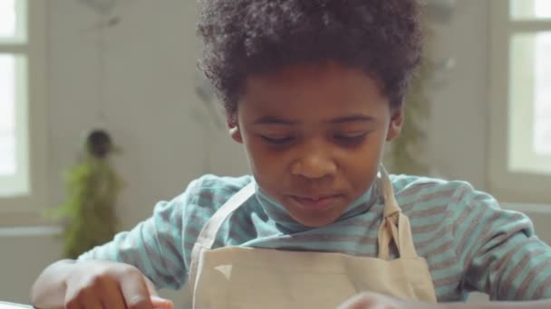 料理のレッスン中に新鮮な梨を切断し 食べるエプロンの小さな出生児 — ストック動画