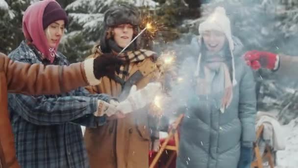 Compañía Jóvenes Alegres Amigos Multiétnicos Que Iluminan Los Bengalas Navideños — Vídeos de Stock