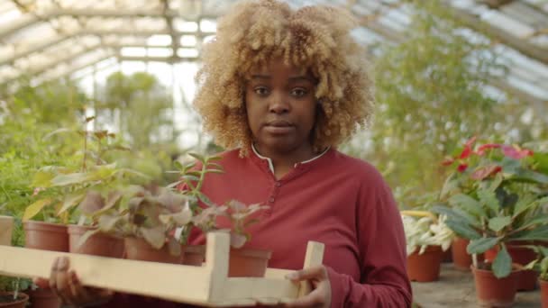 Portrait Young African American Woman Holding Crate Potted Flowers Looking — 图库视频影像