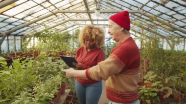 Kıdemli beyaz adam, sera çiftliğinde genç Afrikalı Amerikalı bayan meslektaşıyla yürüyor, çiçekleri kontrol ediyor ve not alırken onunla konuşuyor.