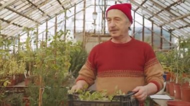 Kıdemli Kafkasyalı adam, çiçek tarlasında çalışırken, kutuları bitkilerle birlikte getiriyor ve genç Afrikalı Amerikalı bayan meslektaşlarının yardımıyla saksıları boşaltıyor.