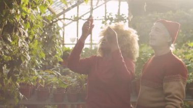 Genç Afrikalı Amerikalı kadın çiçek serasında Kafkasyalı bir meslektaşla çalışırken bahçe makasıyla bitki buduyor.