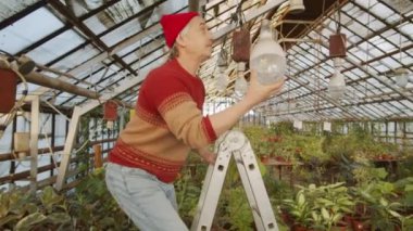 Çiçek serasında ampulü değiştirirken merdiven kullanan kıdemli erkek işçi
