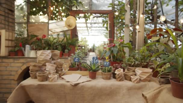 Powiększ Ujęcie Roślin Tagami Cenowymi Ceramicznymi Garnkami Stole Kwiaciarni Wewnątrz — Wideo stockowe