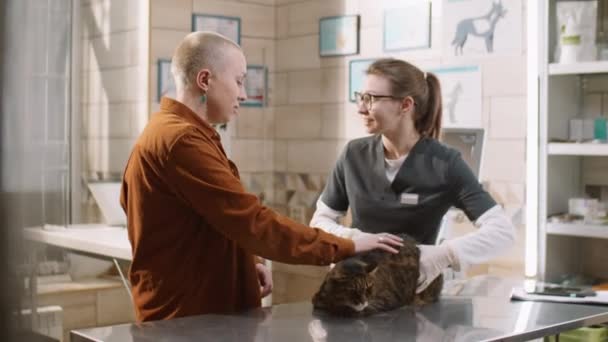 Female Vet Gloves Medical Uniform Examining Cat Smiling Talking Owner — Vídeo de Stock