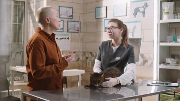 Mujer Hablando Con Veterinario Femenino Acariciando Gato Durante Chequeo Clínica — Vídeos de Stock