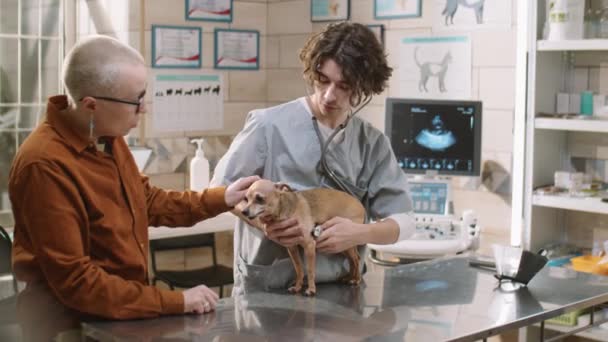 Professional Vet Using Stethoscope While Giving Health Checkup Dog Female — Vídeo de Stock