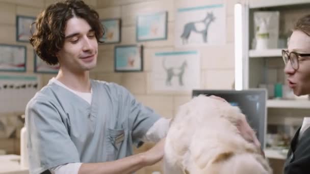 Male Vet Female Owner Petting Adorable Golden Retriever Dog Speaking — Vídeo de Stock