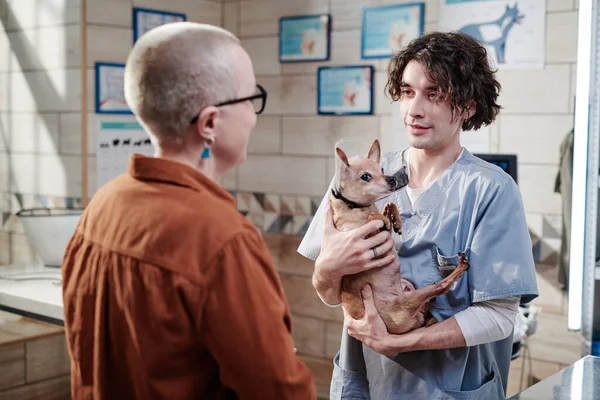 Médico veterinario dando el perro al dueño —  Fotos de Stock