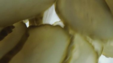 Suda dönen dereotu turşusundan makro shot.