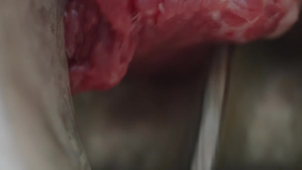 Extrem Närbild Skott Malet Rått Nötkött Köttkvarn — Stockvideo