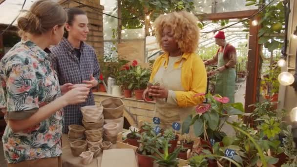Афро Американская Продавщица Упаковывает Комнатные Растения Бумажные Пакеты Разговаривает Двумя — стоковое видео