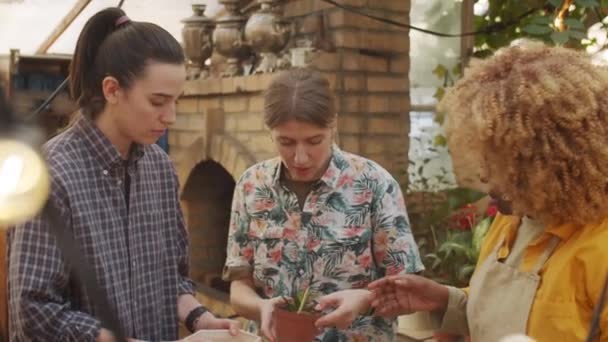 两名年轻的白人妇女选择了家庭植物 并在花店与非洲裔美国女推销员交谈 — 图库视频影像