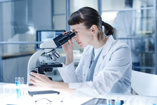 Mujer trabajando en laboratorio con análisis —  Fotos de Stock
