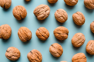 Kalıp olarak gri arkaplanda ceviz şat, kopyalama alanı ile düz yatıyordu. Dev ceviz