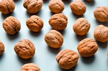 Kalıp olarak gri arkaplanda ceviz şat, kopyalama alanı ile düz yatıyordu. Dev ceviz