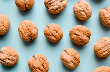 Kalıp olarak gri arkaplanda ceviz şat, kopyalama alanı ile düz yatıyordu. Dev ceviz