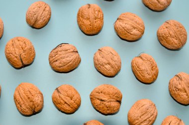 Kalıp olarak gri arkaplanda ceviz şat, kopyalama alanı ile düz yatıyordu. Dev ceviz