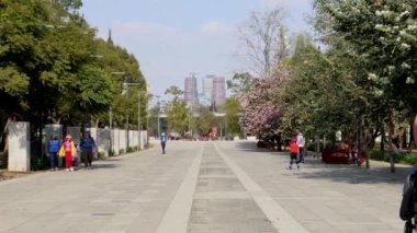 Mexico City, Meksika - Aralık 2021: Chapultepec 'te yürüyen ve egzersiz yapan aileler, bestecilerin caddesinde kayan çocuklar, birçok insanın bisiklet sürdüğü ve egzersiz yaptığı bir yer..