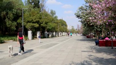 Mexico City, Mexico - Aralık 2021: Bestecilerin caddesinde yürüyen insanlar, ailelerin hafta sonlarını egzersiz yaparak ve evcil hayvanlarını gezdirerek geçirdikleri yer..