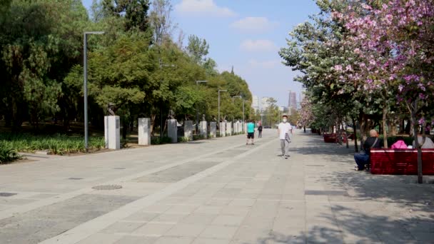 2021年12月 墨西哥城 走在作曲家大街上的人们 这是一条位于查普尔特佩克森林的街道 在那里你可以看到伟大作曲家的半身像 — 图库视频影像
