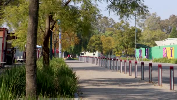 メキシコ市 2021年12月 パパラート博物館の隣に位置するチャプルテペックの森の中のランナーやサイクリストのためのトラック アスリートは特別なレーンで自転車を走らせたり乗ったりすることができます — ストック動画