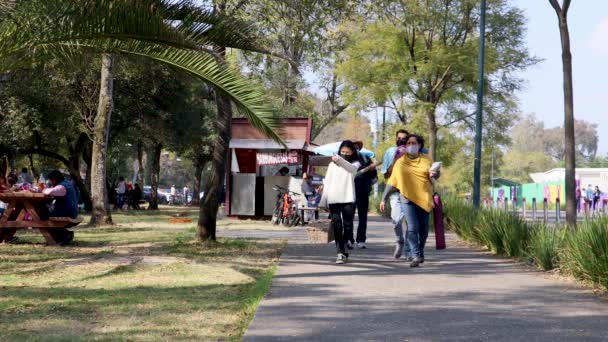 Πόλη Του Μεξικού Μεξικό Δεκέμβριος 2021 Οικογενειακό Περπάτημα Στο Δρόμο — Αρχείο Βίντεο