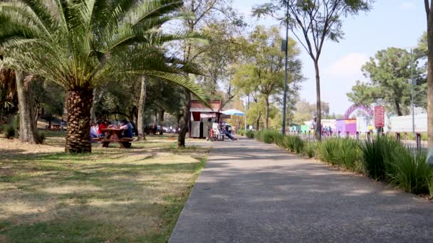 Mexico City Mexico December 2021 Gezinnen Die Wandelen Picknicken Het — Stockvideo